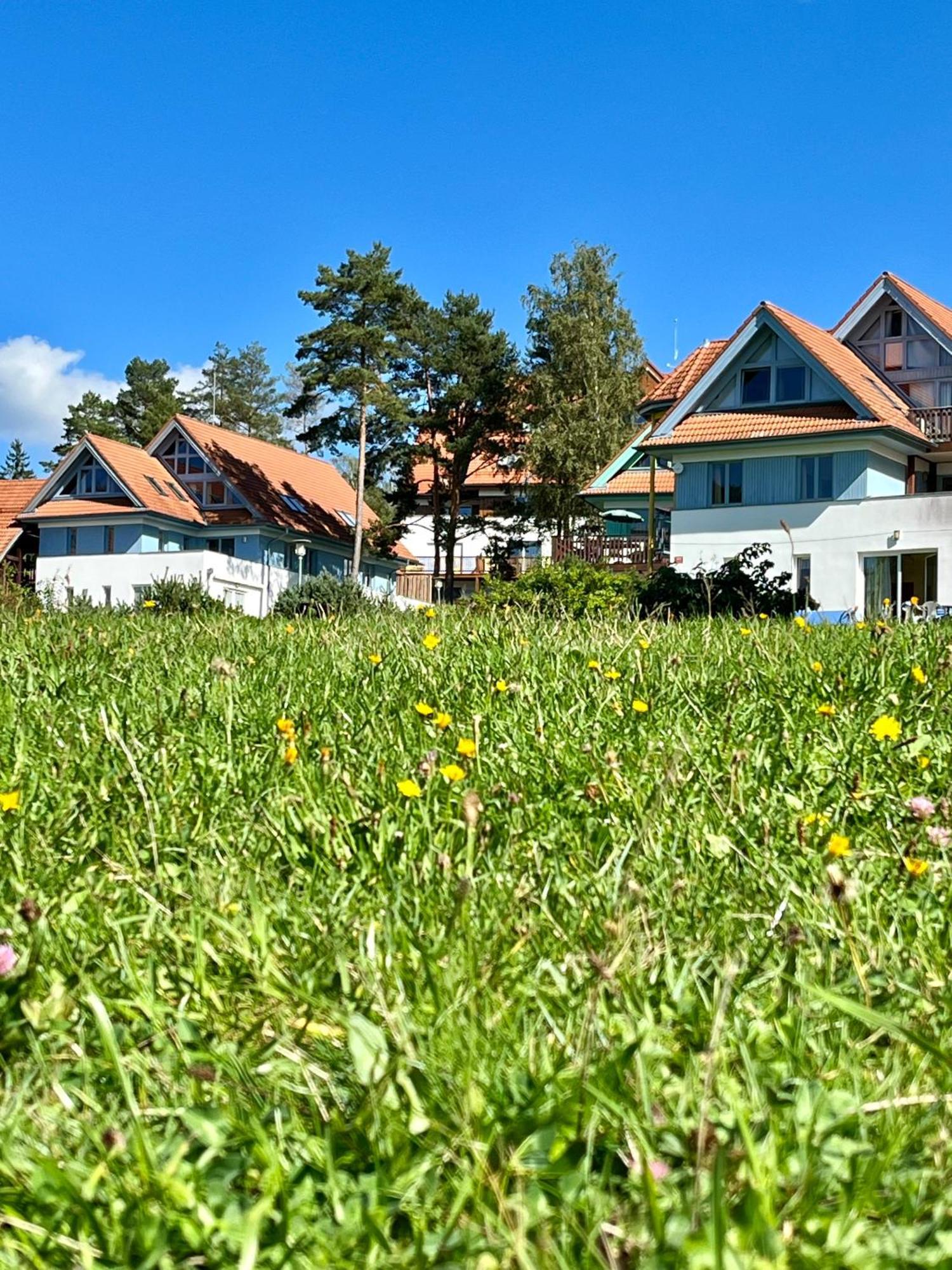 Lipno Beach Apartment Ліпно-над-Влтавою Екстер'єр фото